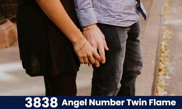 3838 angel number twin flame
