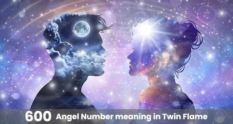 600 meaning in twin flame